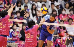 Tokyo Great Bears và Toray Arrows chia điểm sau hai trận kịch tính tại Ariake Coliseum