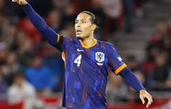 Nhận định, soi kèo Hà Lan vs Ecuador: Thử thách từ "Đá tảng" Nam Mỹ