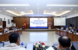 VFF chốt kế hoạch quan trọng: Loạt đội tuyển bước vào giai đoạn then chốt