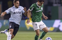 Nhận định, soi kèo Palmeiras vs Gremio: Bản lĩnh nhà Vua