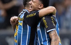 Nhận định, soi kèo Bolivar vs Deportivo La Guaira: Sức mạnh sân nhà