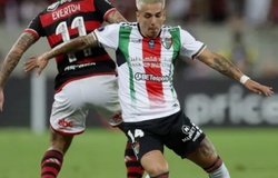 Nhận định, soi kèo Palestino vs Montevideo: Cạm bẫy tại La Cisterna