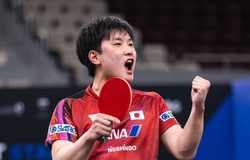 Vì sao Tomokazu Harimoto cho rằng bóng bàn Nhật Bản có thực lực ngang ngửa Trung Quốc?