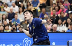 Một mùa, một di sản: Fan Zhendong tái định nghĩa bóng bàn châu Âu