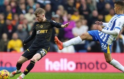Nhận định, soi kèo Brighton vs Wolves: Thừa thắng xông lên