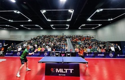 Sự xuất hiện của Fan Zhendong đang thay đổi vị thế của bóng bàn chuyên nghiệp Mỹ như thế nào?