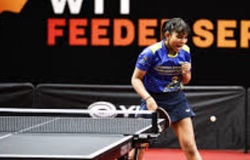 Lịch thi đấu Bóng bàn ngày 14/05/2026: Quyết đấu tại Istanbul và sức nóng từ Challenger Series