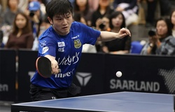 Thua 0-3 liên tiếp, Fan Zhendong vẫn khiến giới bóng bàn nể phục vì quyết định táo bạo