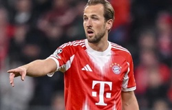 Nhận định, soi kèo Bayern Munich vs Stuttgart: Hùm xám bẫy thiên nga
