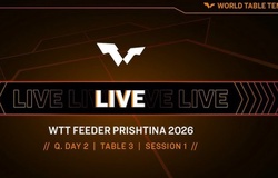 Kết quả Bóng bàn ngày 29/05/2026: Kịch tính vòng loại WTT Prishtina và sự ổn định tại Liga Pro