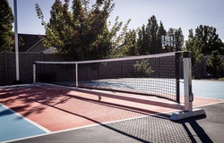 Từ bóng rổ sang pickleball giúp Dominator chinh phục thị trường tỷ USD