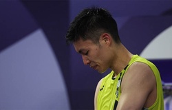 Cựu số 2 thế giới cầu lông Chou Tien-chen không dự Korea Open 2024 do chấn thương ở phổi