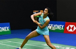 PV Sindhu vào tứ kết cầu lông Singapore Open 2026: Thử thách trước số 1 thế giới An Se-young