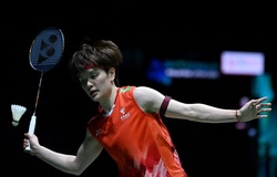 Lịch thi đấu cầu lông Đức mở rộng năm 2026 mới nhất ngày 01/03: Giải mã sức hút "mỏ vàng" 6,5 tỷ đồng