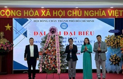 Từ SEA Games đến CLB Quốc tế: TPHCM chính thức đặt mục tiêu trở thành trung tâm bóng chày số 1 cả nước