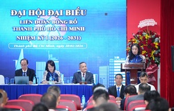 Chuyển đổi mô hình quản trị: Liên đoàn Bóng rổ TP.HCM và mục tiêu tự chủ kinh tế nhiệm kỳ 2026-2031