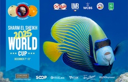 Lịch thi đấu Billiards World Cup Sharm El Sheikh năm 2025 mới nhất ngày 13/12
