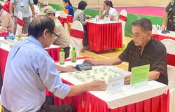 Khai mạc giải Cờ Tướng đặc biệt: Sân chơi trí tuệ cho người cao tuổi Việt Nam