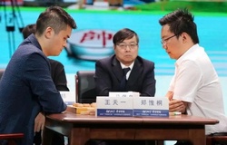 Công bố chi tiết dòng tiền trong đại án mua bán độ của các kỳ vương cờ tướng Trung Quốc