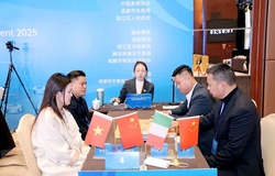 "Song tô" Cẩm Giang Bôi: Khi Cờ Tướng biến thành "vũ điệu ăn ý" trong im lặng