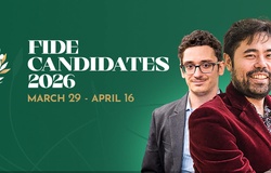 Giải cờ vua Candidates 2026: Khi những "ông vua không ngai" đối mặt với trận chiến cuối cùng giữa vòng xoáy chính trị