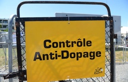 "Siêu doping" từ giun biển: Vũ khí bí mật vận chuyển oxy gấp 40 lần khiến làng xe đạp thế giới chao đảo