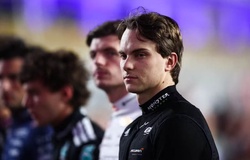 Ông chủ McLaren thừa nhận sai lầm chiến thuật nghiêm trọng, dâng chiến thắng F1 Qatar cho Max Verstappen