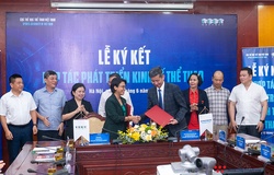 Cục TDTT Việt Nam đánh giá cao Vietcontent – đồng hành khơi thông nguồn lực kinh tế thể thao