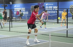 Luật Pickleball USA tại Việt Nam năm 2025 mới nhất: Phần 7 và cuối - Quản lý giải đấu và trọng tài