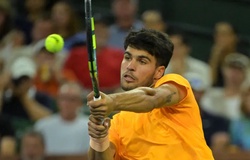 Bán kết quần vợt Indian Wells 2026: Alcaraz duy trì chuỗi 16 trận bất bại, sẵn sàng đại chiến Medvedev