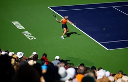 Kỷ lục 526.000 khán giả tại Indian Wells 2026: Công thức thành công của một siêu giải đấu quần vợt