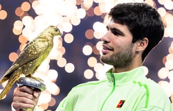 Carlos Alcaraz vô địch quần vợt Doha 2026: Giải mã "cỗ máy in tiền" và tư duy quản trị đỉnh cao của số 1 thế giới