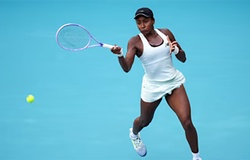 Coco Gauff nhọc nhằn tiến vào tứ kết quần vợt Miami Open 2026: Bản lĩnh ngôi sao và bài học về sự tập trung