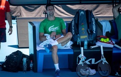  Djokovic thêm rắc rối: Đến lượt Tây Ban Nha điều tra anh vi phạm luật nhập cảnh