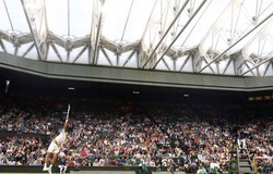 Số 3 thế giới ATP Novak Djokovic: Đừng biến Wimbledon thành giải đấu tennis trong nhà