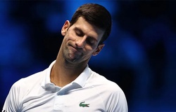 Djokovic bị Úc trục xuất: Vì ban tổ chức giải tennis Australian Open 2022 làm bậy?