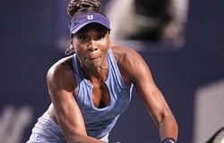 Venus Williams thua trong trận đấu 3 set ở vòng đầu tiên của giải quần vợt Auckland Classic