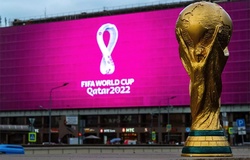 World Cup 2022 và những điểm chung kỳ diệu