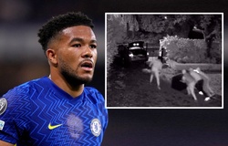 Ngôi sao Chelsea tiết lộ cảnh quay kẻ trộm đột nhập khuân két sắt