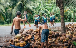 Háo hức chuẩn bị chinh phục cung đường chạy xứ dừa của Bepharco Ben Tre Marathon 2023