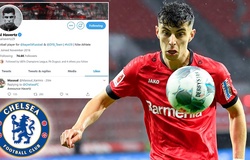 CĐV Chelsea phấn khích khi Havertz thích gợi ý chuyển nhượng