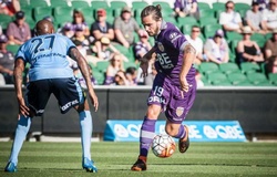 Trực tiếp Sydney vs Perth Glory: Khó có bất ngờ