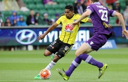 Trực tiếp Perth Glory vs Wellington: Lấy điểm trên đất khách