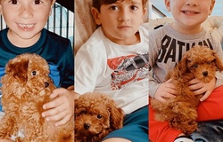  Gia đình Messi nhận nuôi thú cưng thứ hai với kích thước tí hon