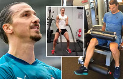 Ibrahimovic nhận lời đề nghị bất ngờ từ các nhà khoa học