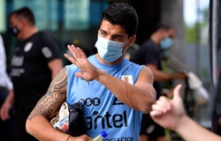 Luis Suarez lỡ đại chiến với Barca và Messi