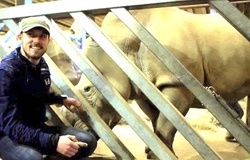 Tê giác trắng đực cuối cùng qua đời, cựu sao Arsenal hành động bất ngờ