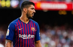 Luis Suarez bị tố cáo gian lận kỳ thi tiếng Ý như thế nào?