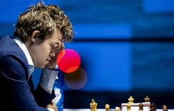 Khởi động lại giải đấu Ứng viên thách thức Vua cờ Magnus Carlsen