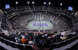 Xem trực tiếp giải tennis Indian Wells Masters khi nào, ở đâu?